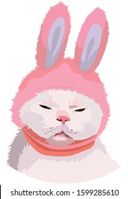 White cat with ears of a rabbit