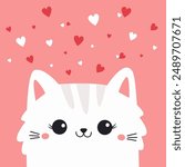 White cat face head. Fluffy kitten. Red white hearts. Happy Valentines Day. Cute cartoon funny kitty character. Kawaii animal in love. Greeting card . Flat design. Pink background. Vector illustration