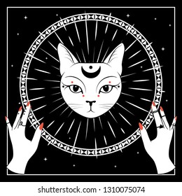 White cat face with moon on night sky with ornamental round frame. Hands with rings. Magic, occult symbols. Vector illustration.