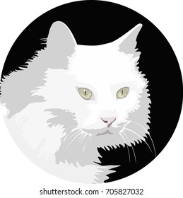 White cat face on black background
