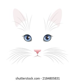 White cat face with rounded blue eyes and big vibrissae over white background, funny pet