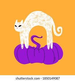 White cat with green eyes. A hand-drawn cat stands arched on a large purple pumpkin. Vector stock illustration isolated on orange background.
