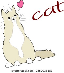 White cat with heart.Isolated on white background