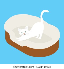 White cat in his soft cozy bed cushion isolated on blue background. Isometric view. Vector