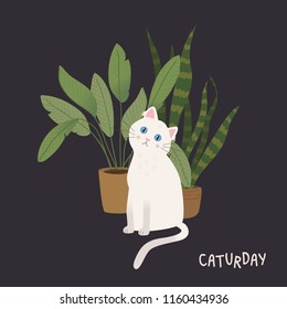 White cat with home plants. Vector illustration.