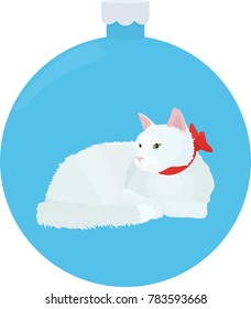 white cat lay down on the blue background