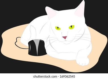 White cat lies next to a black computer mouse