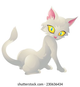 White cat looking over the shoulder pose