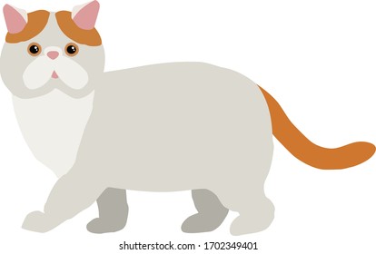 Gatos blancos masticando. vector de gato. Caricatura de un lindo gato