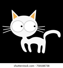 white cat on the black