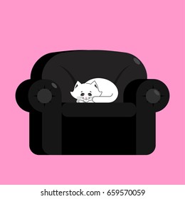 White cat on black armchair. Home pet on chair
