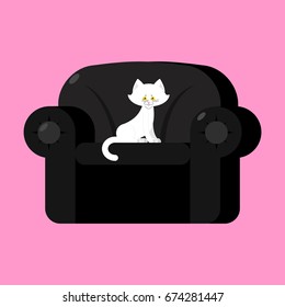 White cat on black armchair. Home pet on chair