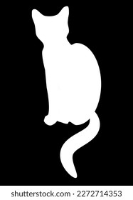 White cat on a black background