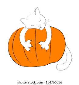 White cat on the pumpkin 