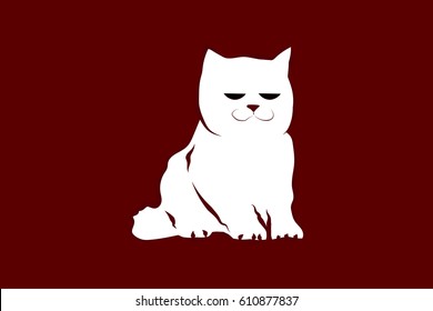 White cat on the red background