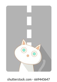 White cat on the road