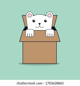 white cat in opened box Cat inside opened cardboard package box. vector illustration cat concept