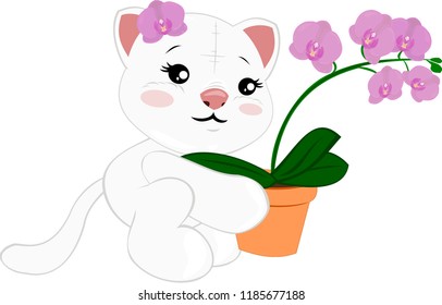 White cat with orchid.