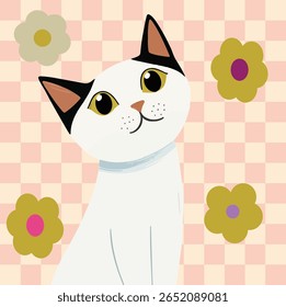 white cat in pink background