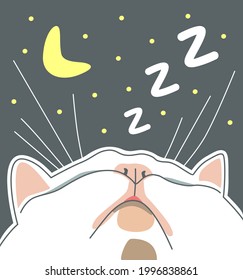 White cat, pink nose. Asleep with his head up. Night, moon and stars. Flat vector illustration.