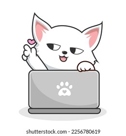 White Cat Playing Laptop Notebook - Cute White Pussy Cat with Love