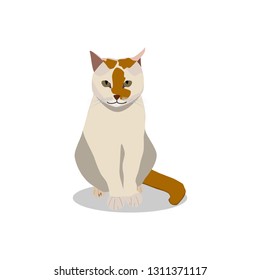 White cat with red spots