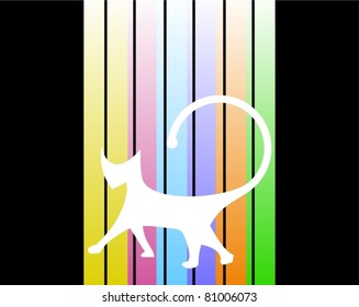 White cat silhouette on colorful background