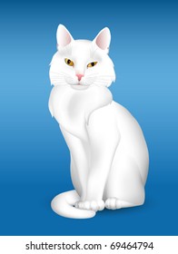 The white cat sits on the blue background