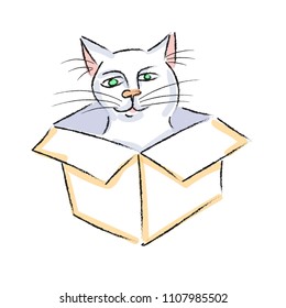 white cat sitting in a box