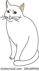 white cat sitting still and looking sideways