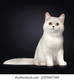 white cat with style hand drawn watercolor digital painting illustration