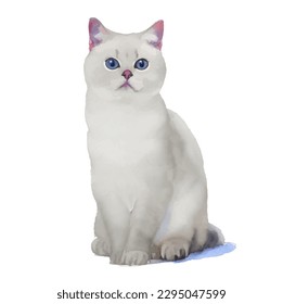 white cat with style hand drawn watercolor digital painting illustration