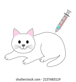 A White Cat With A Syringe For A Vaccination 