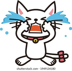 A white cat that sheds tears and cries