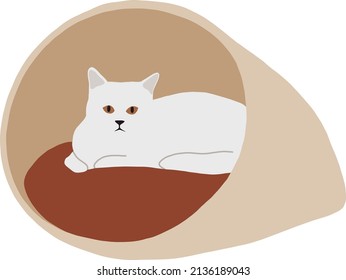 A white cat of the Turkish angora breed lies in a couch with a roof