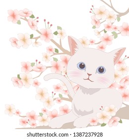 a white cat under a Cherry Blossoms illustration. eps10