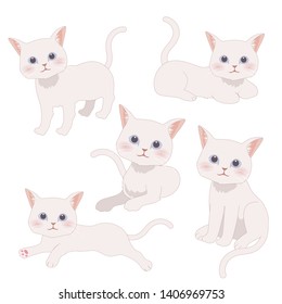 White cats simple style set. Collection of cute pets. Vector illustrations isolated on white background.