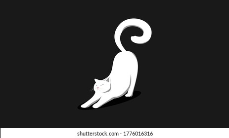 White cats stretching on a black background White cat, close your eyes Stretched comfortably