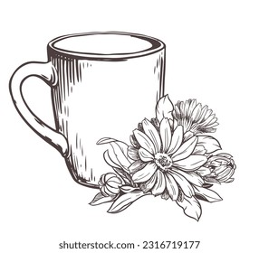 White ceramic cup with herbal tea with calendula flowers on a white background. Vector illustration in engraving technique. Line drawing. Healthy drink.