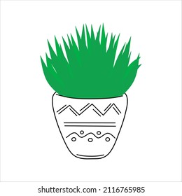 White ceramic pot with plant