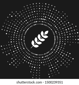 White Cereals set with rice, wheat, corn, oats, rye, barley icon isolated on grey background. Ears of wheat bread symbols. Abstract circle random dots. Vector Illustration