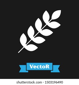 White Cereals set with rice, wheat, corn, oats, rye, barley icon isolated on black background. Ears of wheat bread symbols.  Vector Illustration