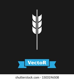 White Cereals set with rice, wheat, corn, oats, rye, barley icon isolated on black background. Ears of wheat bread symbols.  Vector Illustration