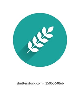 White Cereals set with rice, wheat, corn, oats, rye, barley icon isolated with long shadow. Ears of wheat bread symbols. Green circle button. Vector Illustration
