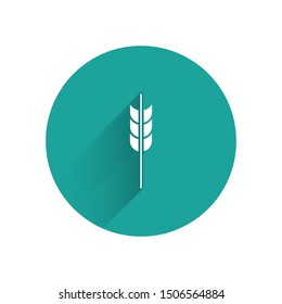 White Cereals set with rice, wheat, corn, oats, rye, barley icon isolated with long shadow. Ears of wheat bread symbols. Green circle button. Vector Illustration