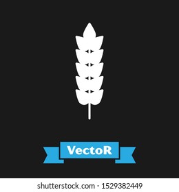 White Cereals set with rice, wheat, corn, oats, rye, barley icon isolated on black background. Ears of wheat bread symbols.  Vector Illustration