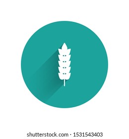 White Cereals set with rice, wheat, corn, oats, rye, barley icon isolated with long shadow. Ears of wheat bread symbols. Green circle button. Vector Illustration