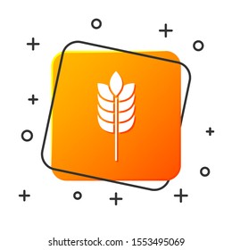 White Cereals set with rice, wheat, corn, oats, rye, barley icon isolated on white background. Ears of wheat bread symbols. Orange square button. Vector Illustration