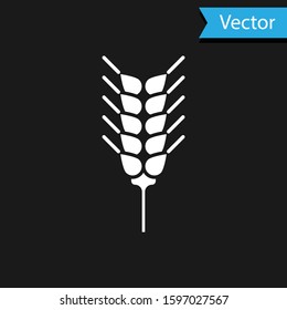 White Cereals set with rice, wheat, corn, oats, rye, barley icon isolated on black background. Ears of wheat bread symbols.  Vector Illustration