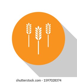 White Cereals set with rice, wheat, corn, oats, rye, barley icon isolated on white background. Ears of wheat bread symbols. Orange circle button. Vector Illustration